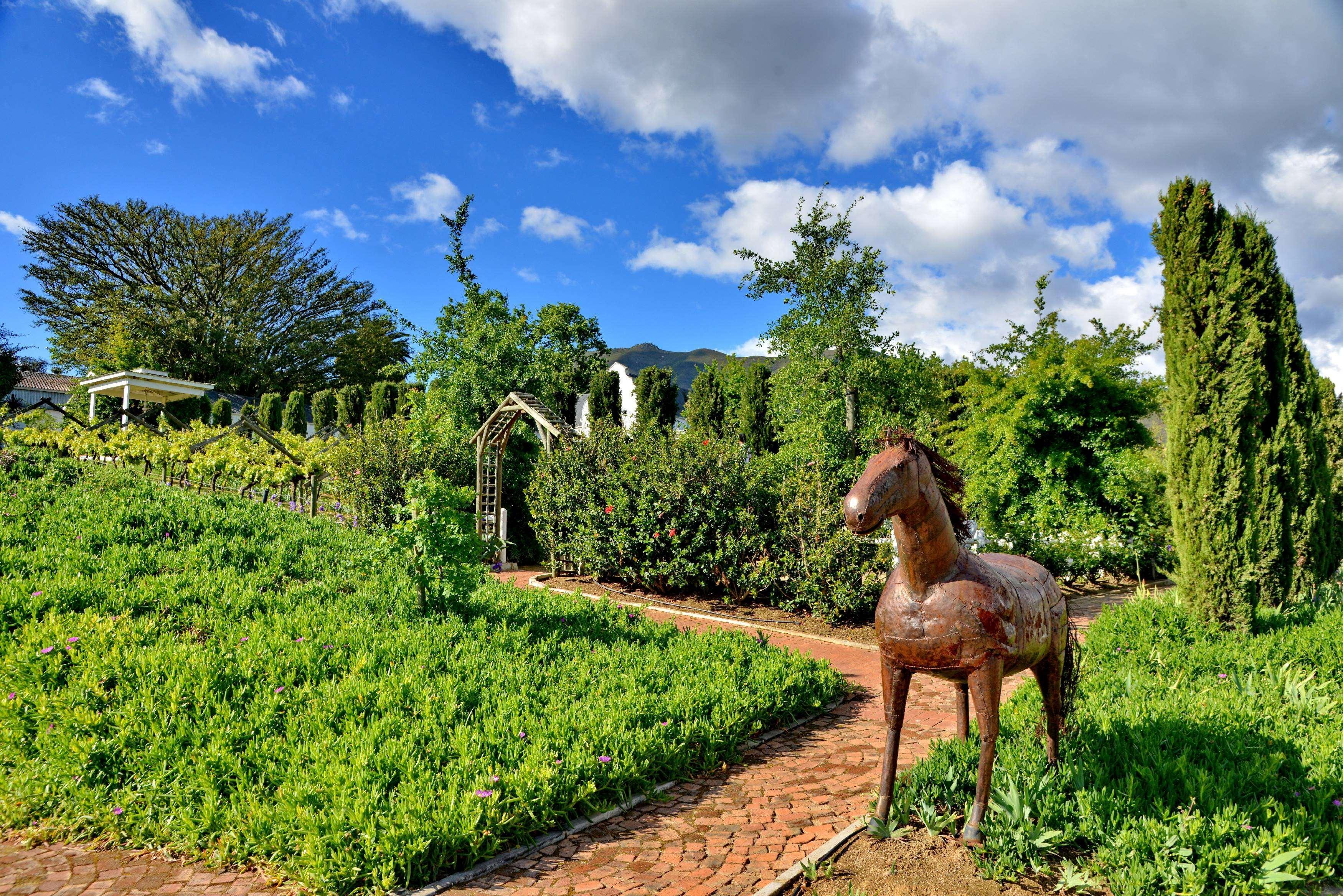 Val Du Charron Wine & Leisure Estate Hotel Wellington Eksteriør billede